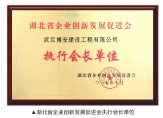湖北省企业创新发展促进会执行会长单位